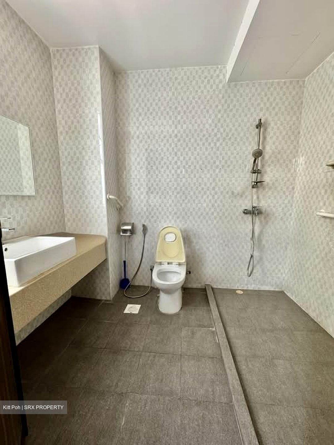 Joo Chiat Place (D15), Terrace #545958681